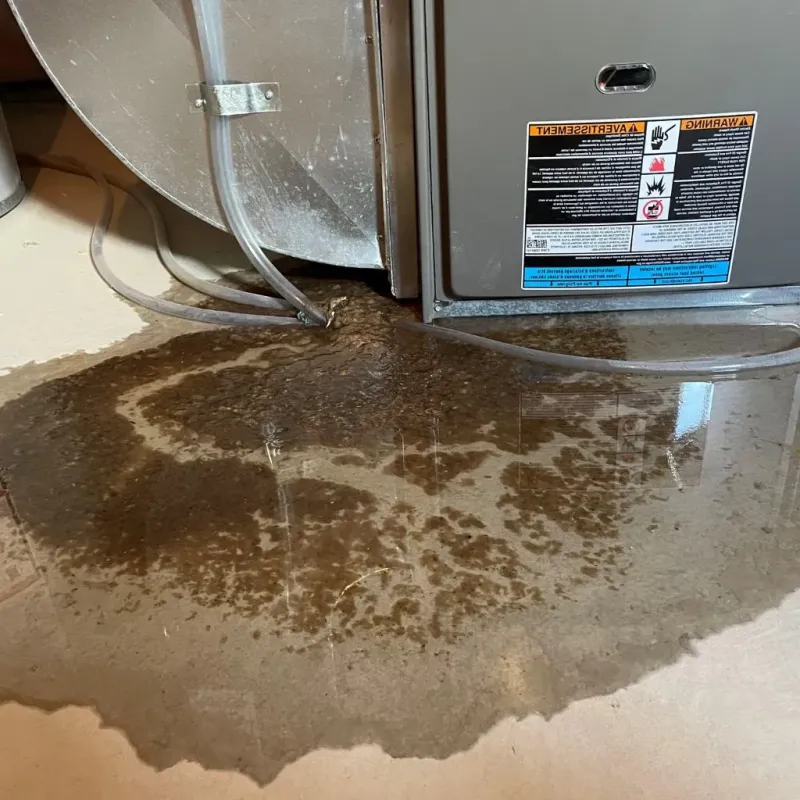 Pipe Burst and Leak Restoration in Limington, ME