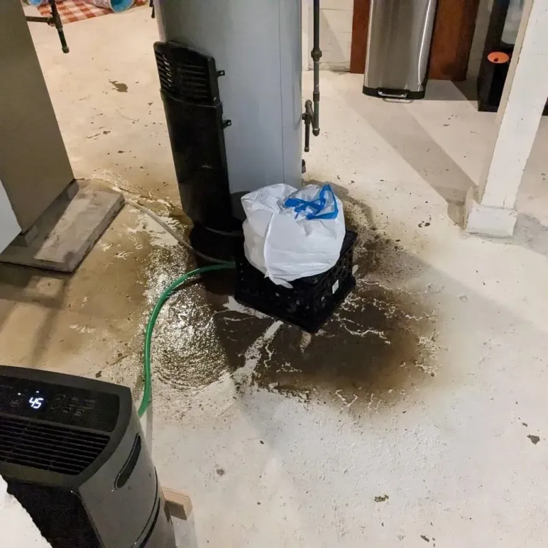 Sewage Backup Cleanup Service in Limington, ME